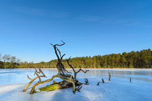 Fine art photographer Marta Reszka - countryside photography