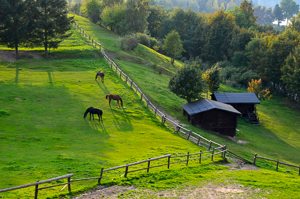 Fine art photographer Marta Reszka - countryside photography