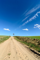 Fine art photographer Marta Reszka - countryside photography